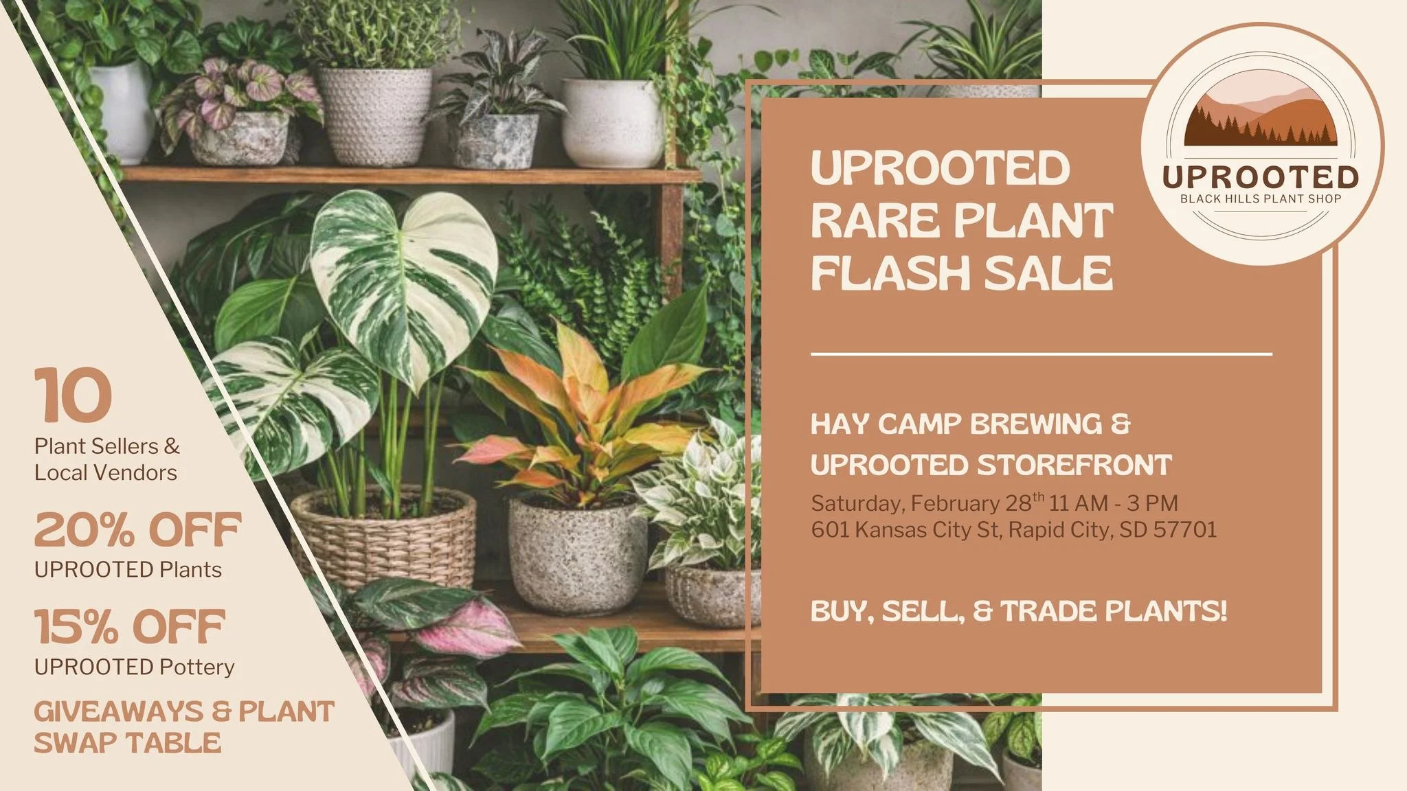 Uprooted Rare Plant Sale