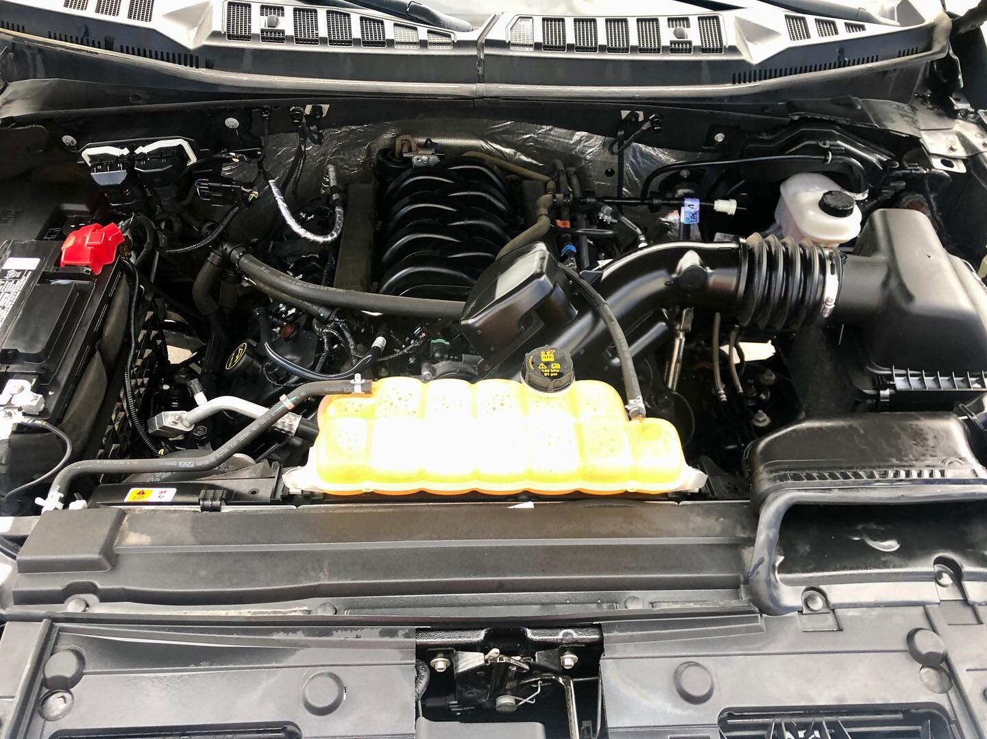 Stem cleaned engine on a brand new Ford F-150! So fresh and so clean clean 🧽🧼🧽