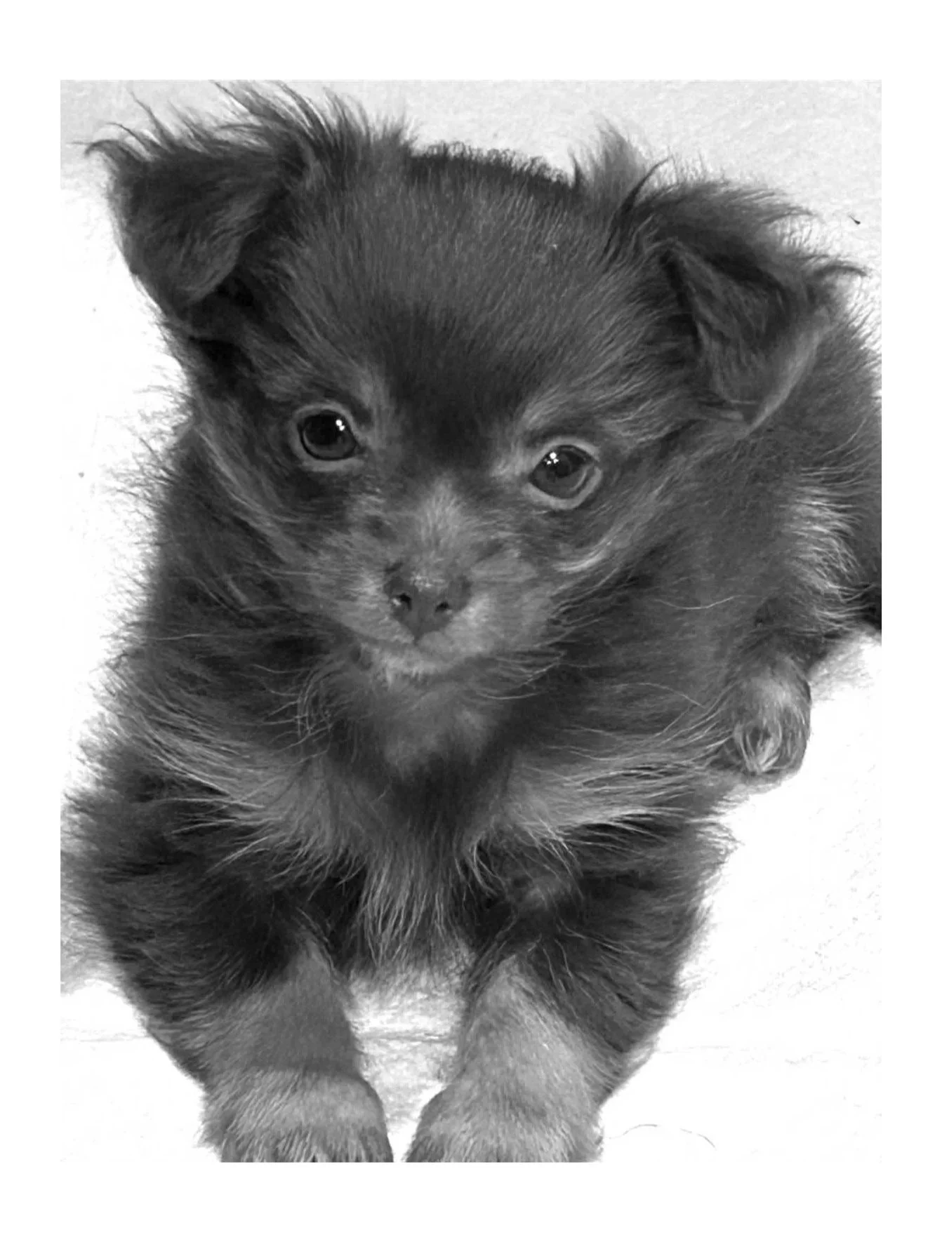 Krumble Kuik-Edwards