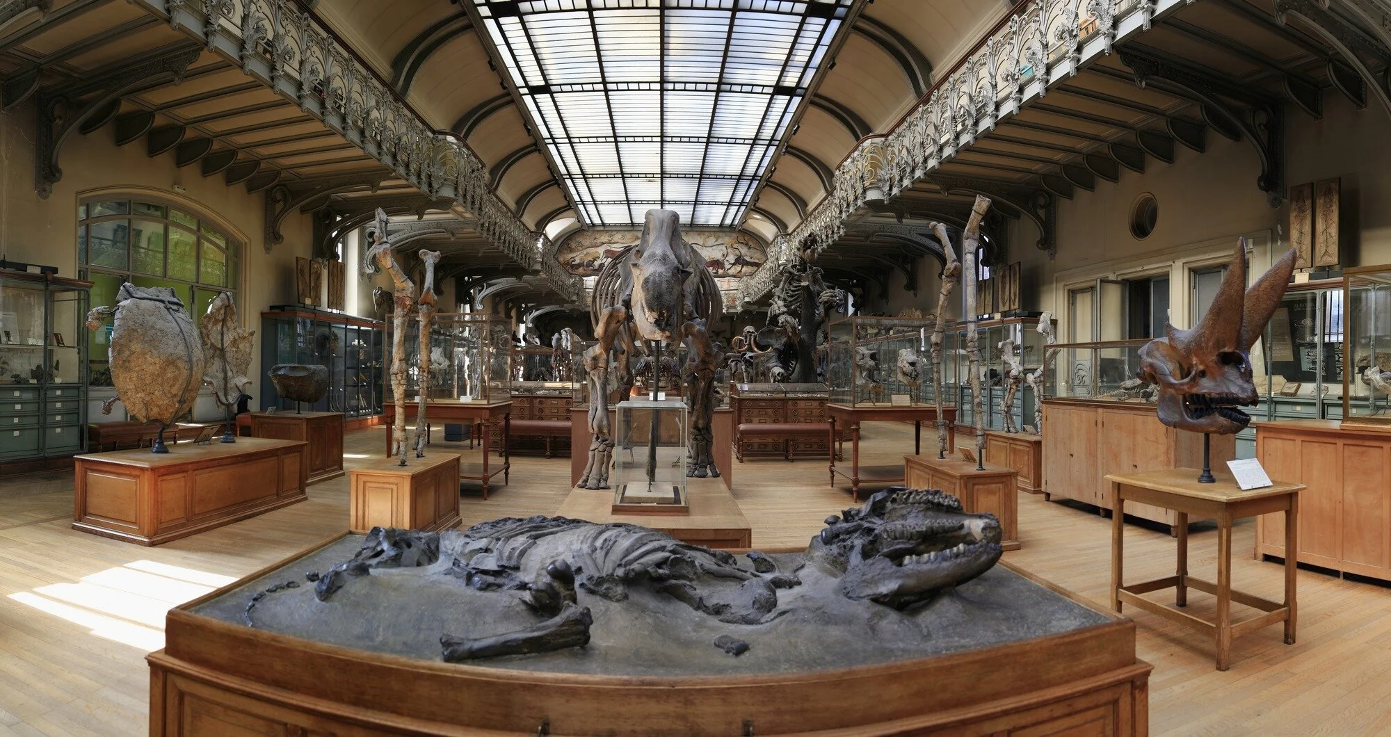 Muséum National d’Histoire Naturelle (Copy)