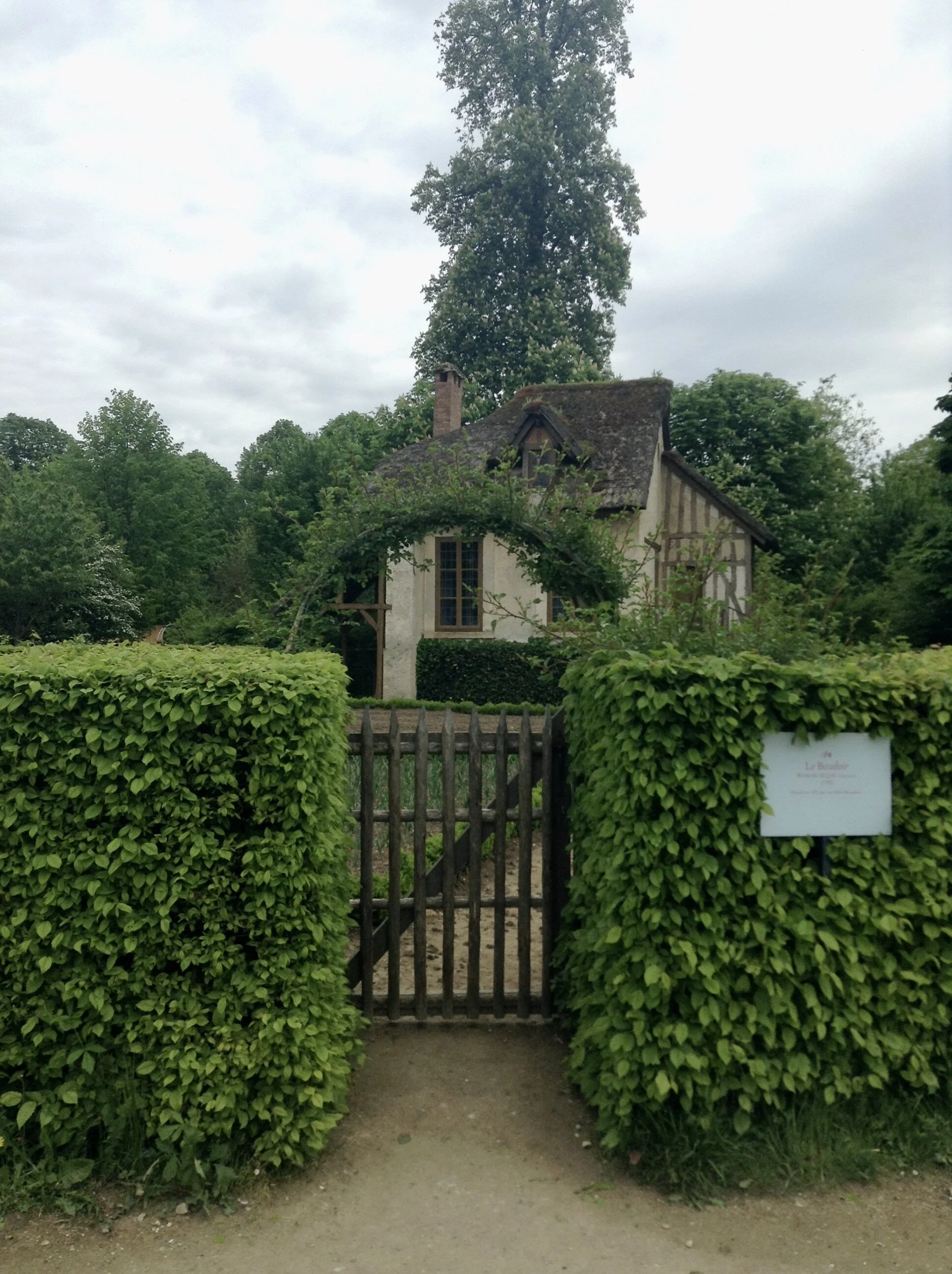 IMG_0503.jpeg