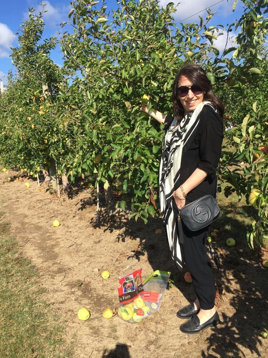 Apple Picking in Ontario, Canada