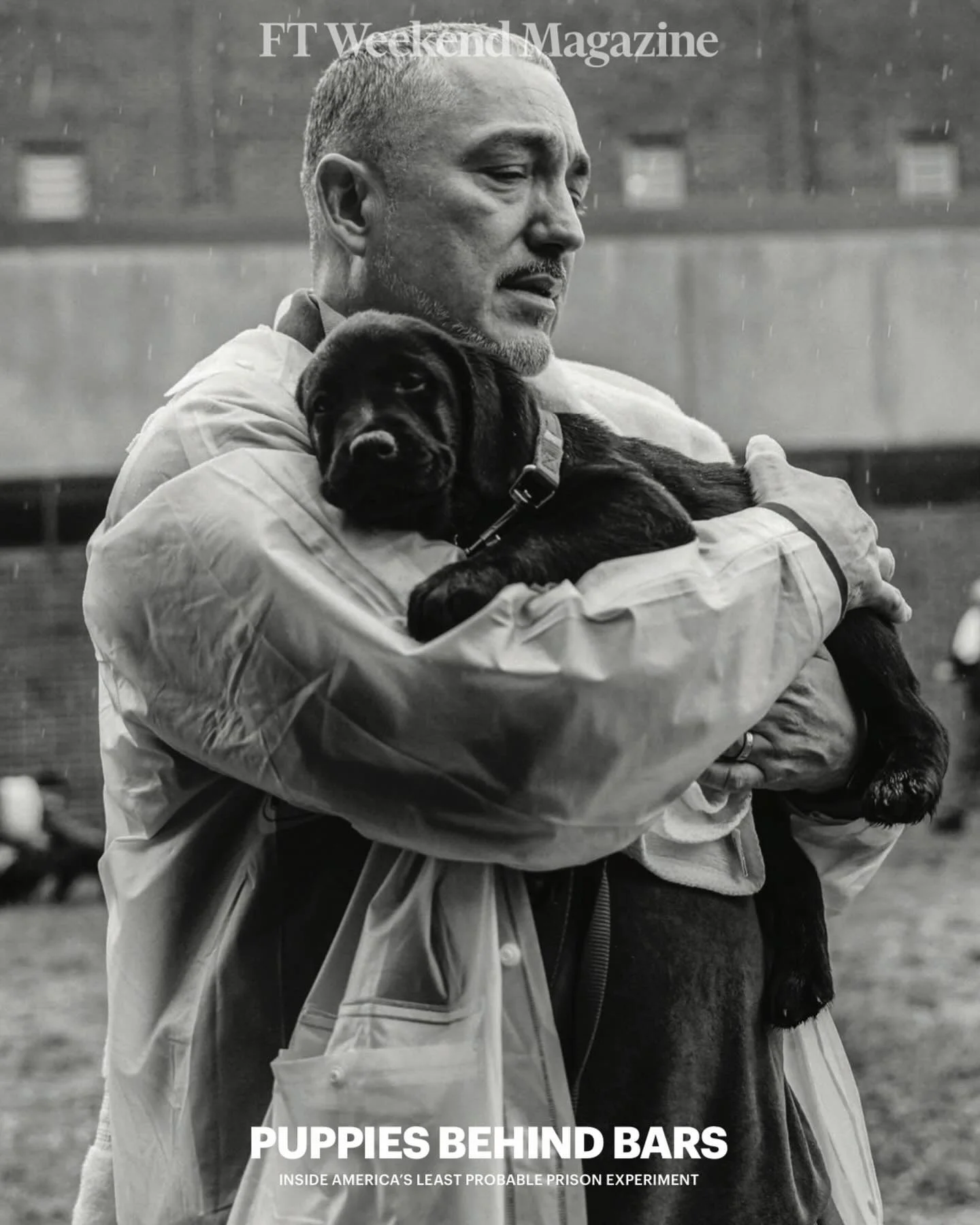 Puppies Behind Bars for Financial Times