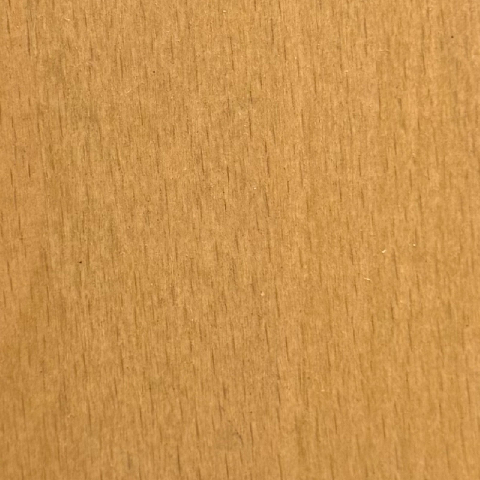 Honey on Beech
