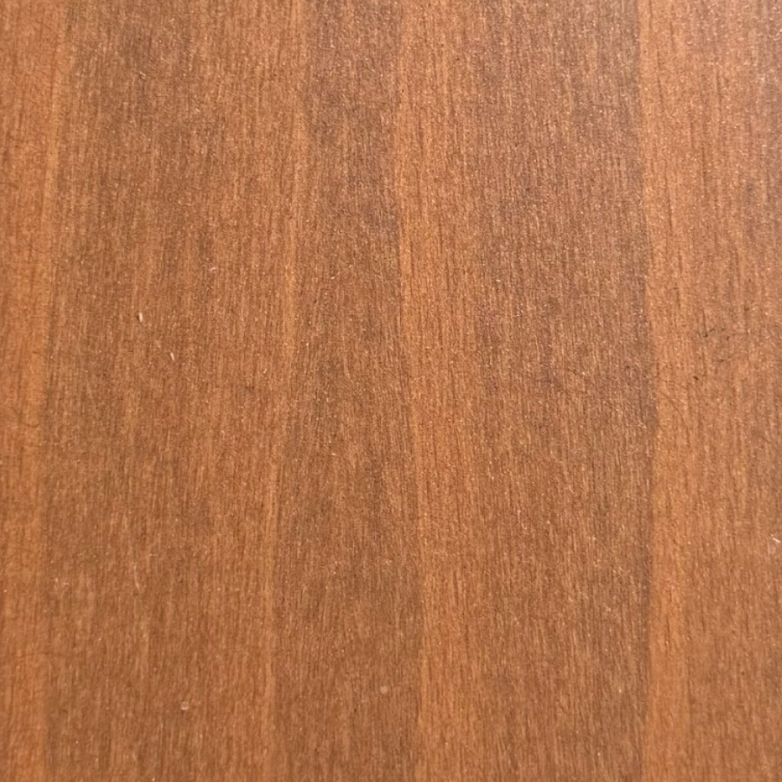 Auburn on Beech