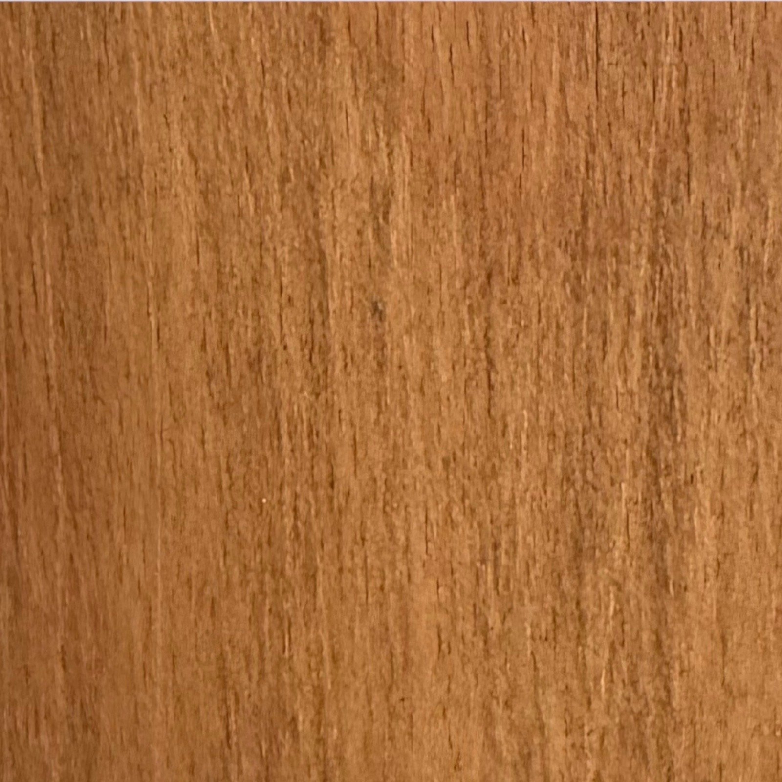Maple on Beech