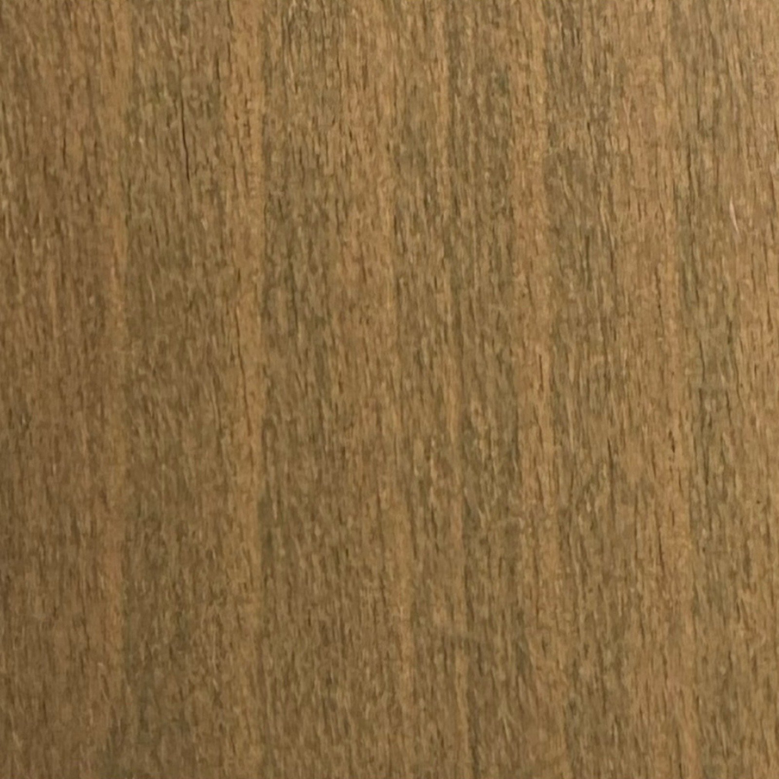 Cedar on Beech
