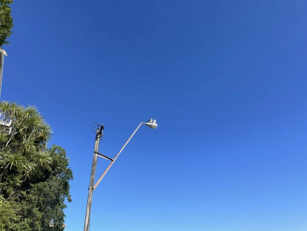 AE5667B2-D295-46D0-BDEB-B164CF55E884_1_105_c.jpeg
