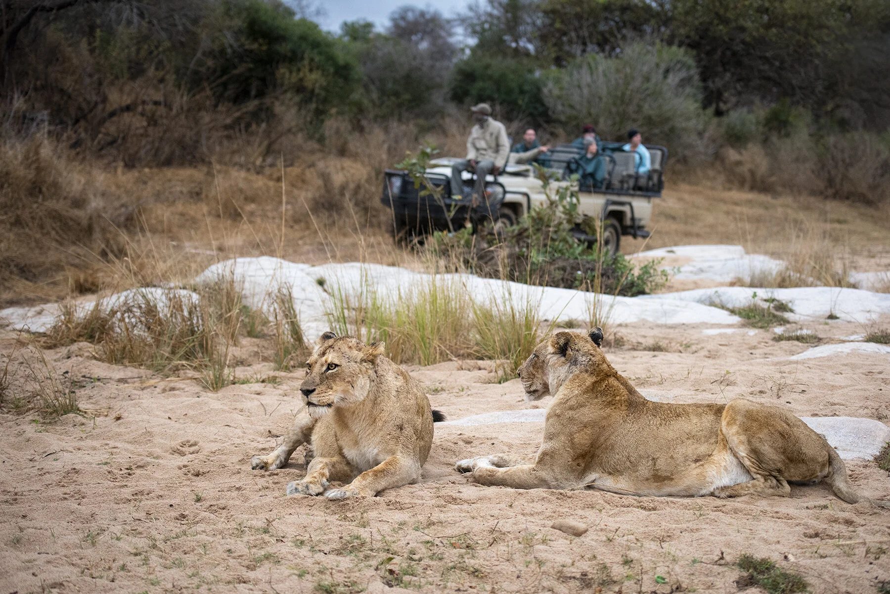 _DSC9156-Edit-Edit copy.JPG