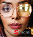 Shamir.PNG
