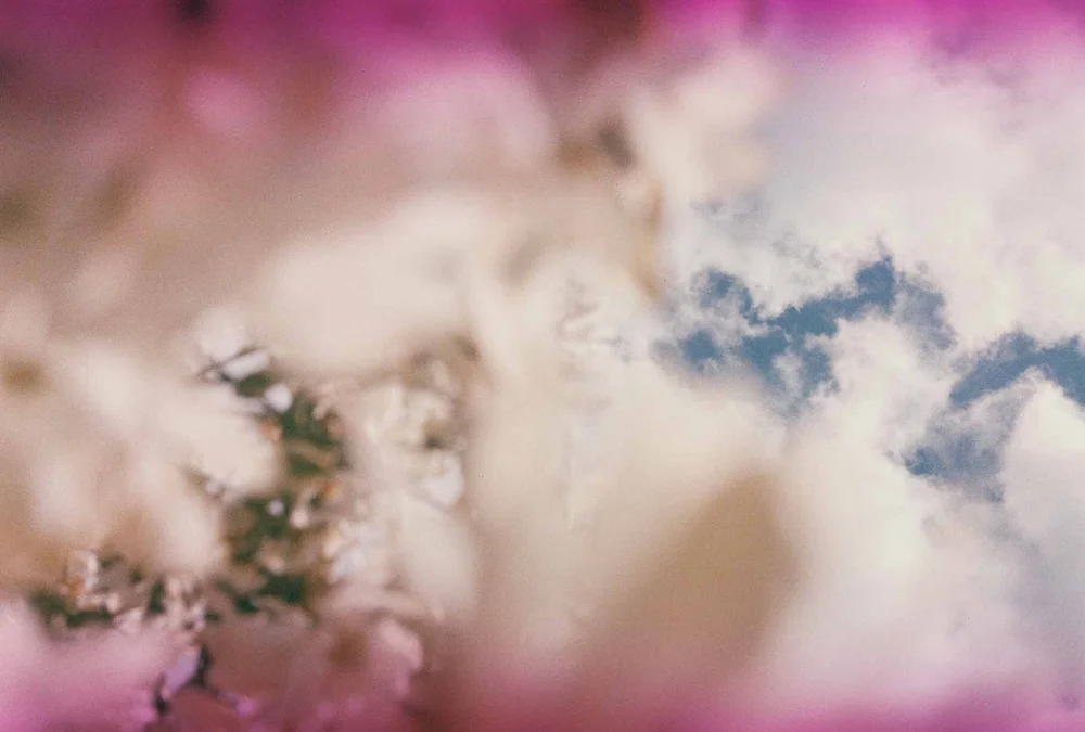  When I first saw this roll developed, I was obsessed with the discoloration that happened. This was an old roll of film I bought at a garage sale a few years ago, and each time I get one developed I’m excited to see if any other effects came along w