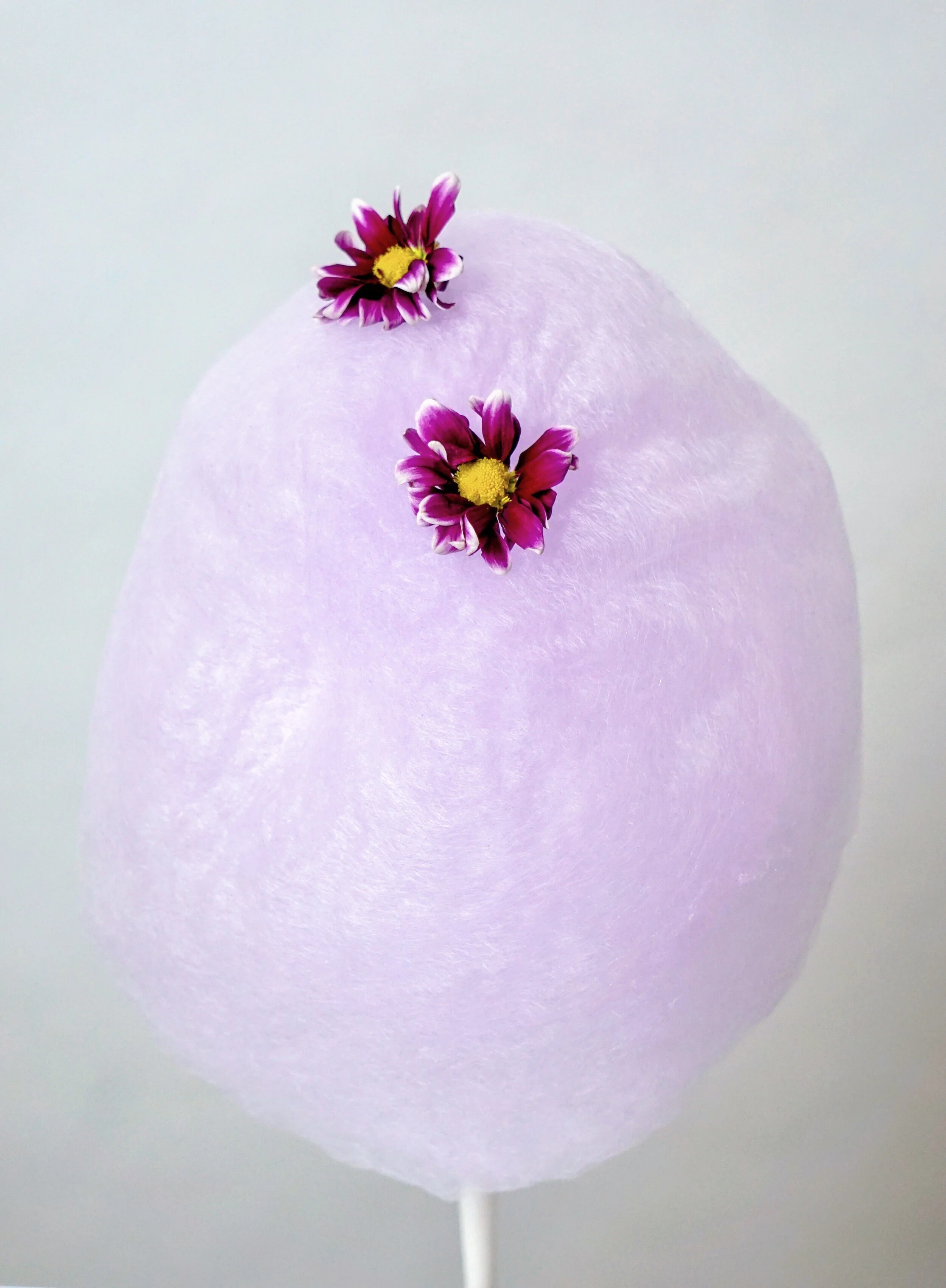 Services 4 — Organic Cotton Candy by Le DOODLE