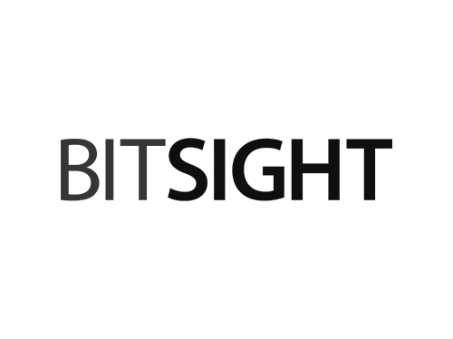 BitSight - 2024.png