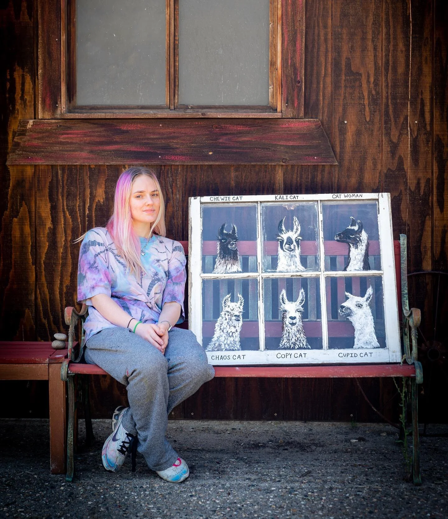 Cat Canyon Ranch is delighted to host artist in residence Ruby Davies. She created a one of a kind family portrait of our llama cat herd, and each of their personalities shines through on this hundred year old barn window. You are very talented Ruby!