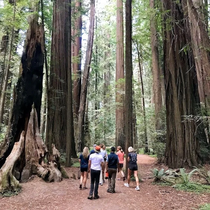 Hiking and Backpacking 