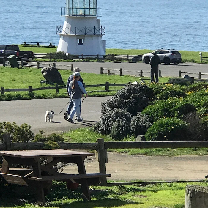 Shelter Cove RV Campground & Deli Discover Southern Humboldt