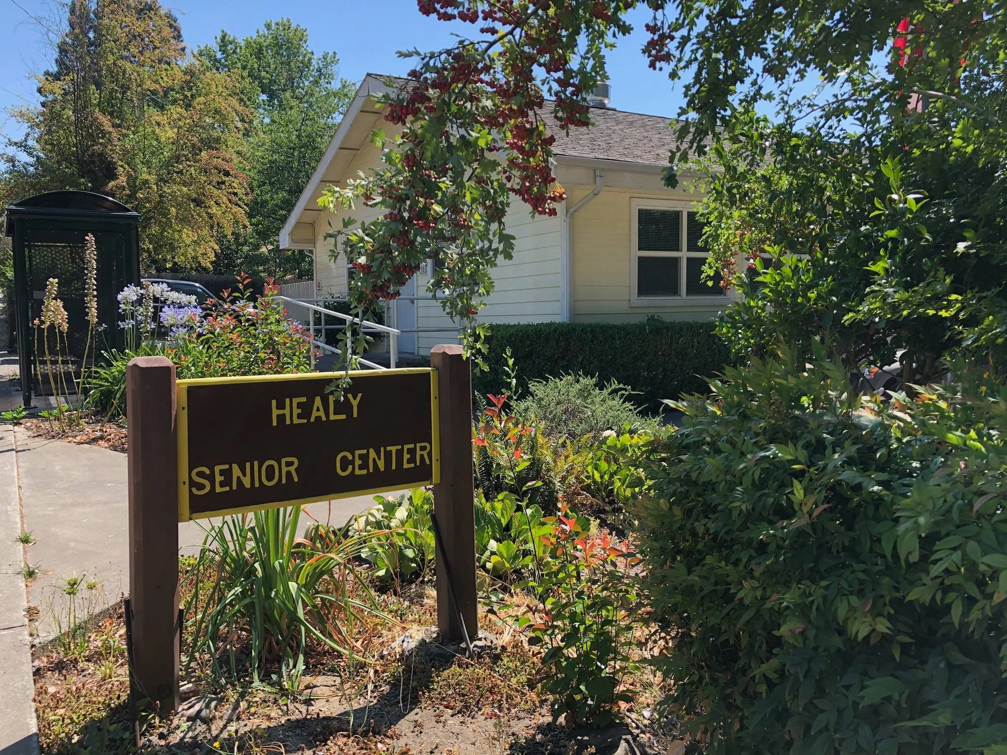 The Healy Senior Center