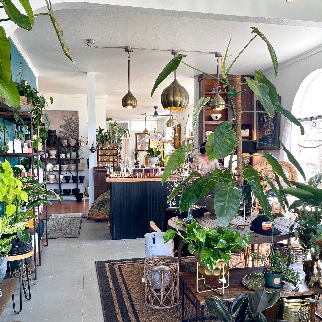 Plant Habit Botanicals