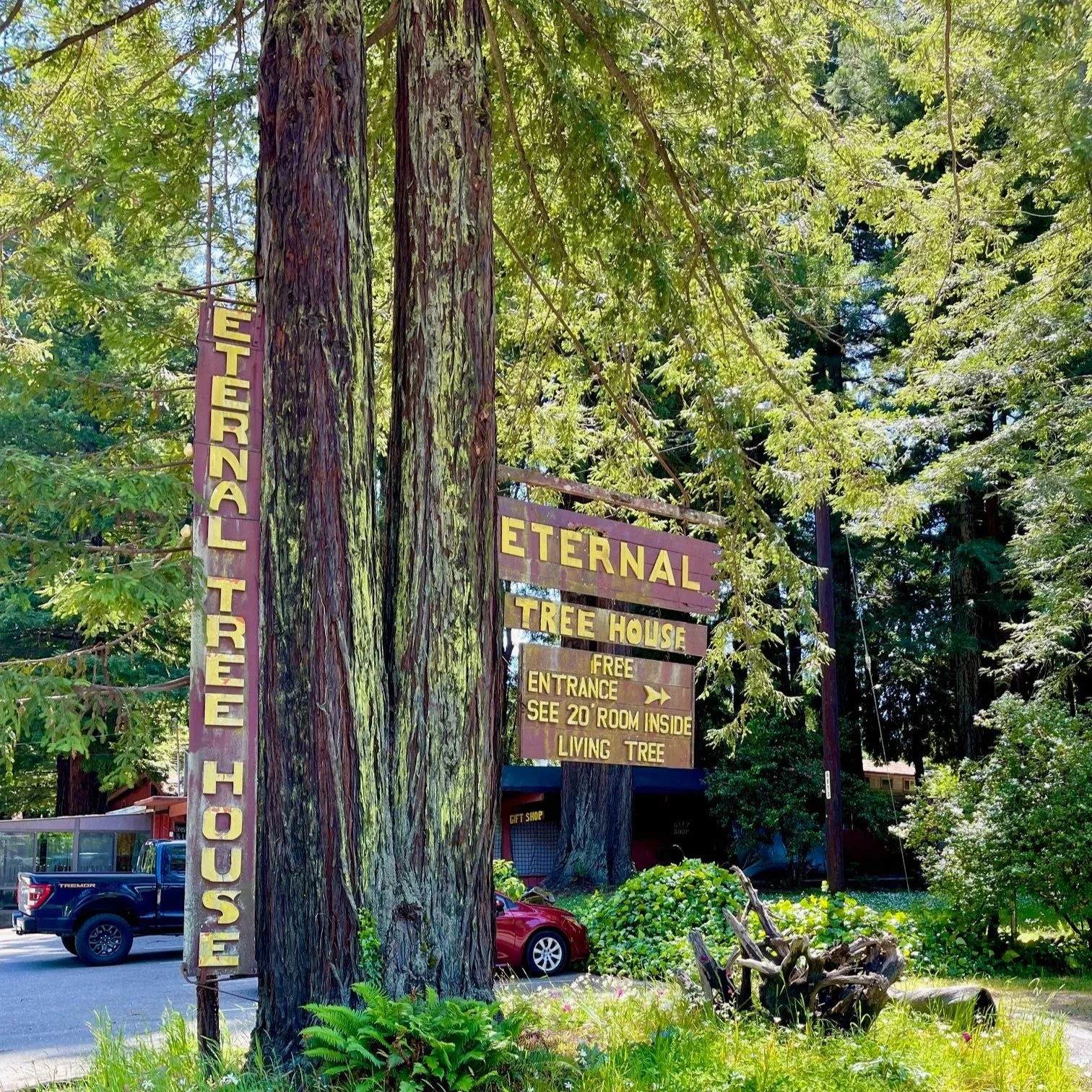 The Eternal Tree House Cafe