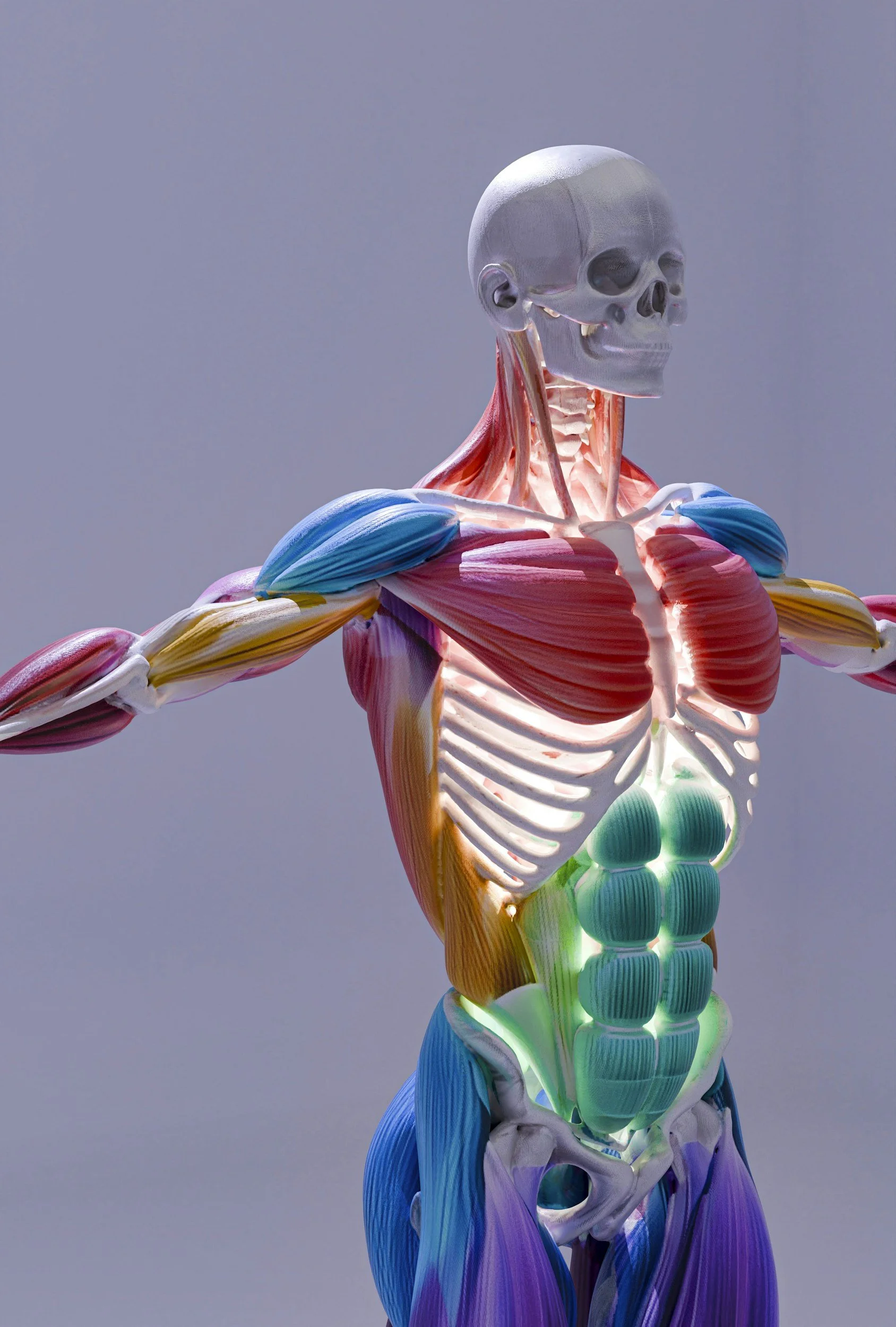 Core Training Is More Than Abs