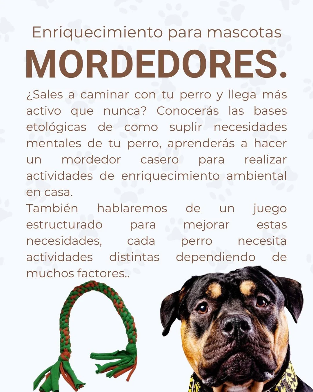 🐩Pet enrichment Teething toys 🐶