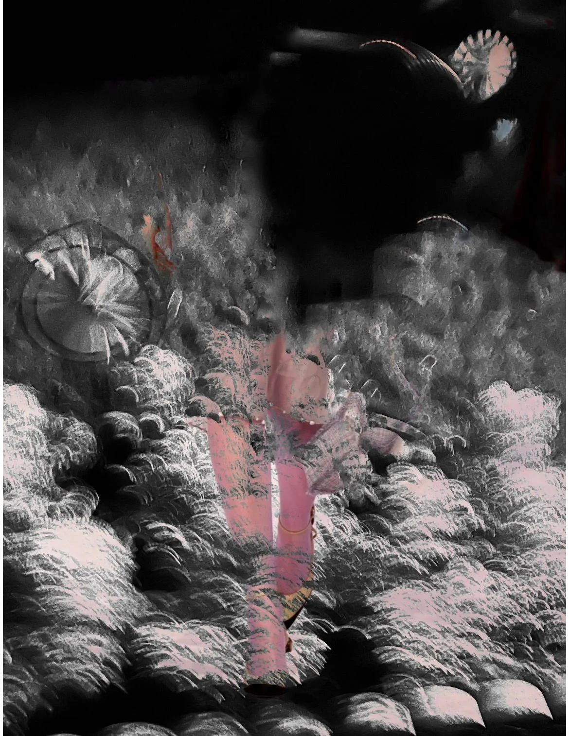 Jane Pilla - Doble Exposicion