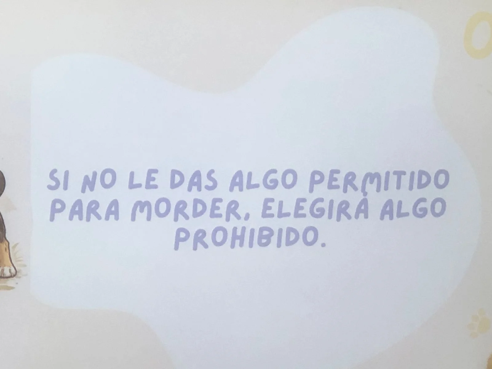 WhatsApp Image 2026-03-27 at 6.00.15 PM (6).jpeg