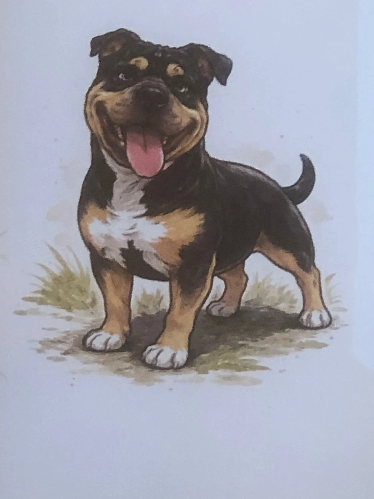 WhatsApp Image 2026-03-27 at 6.00.15 PM (5).jpeg