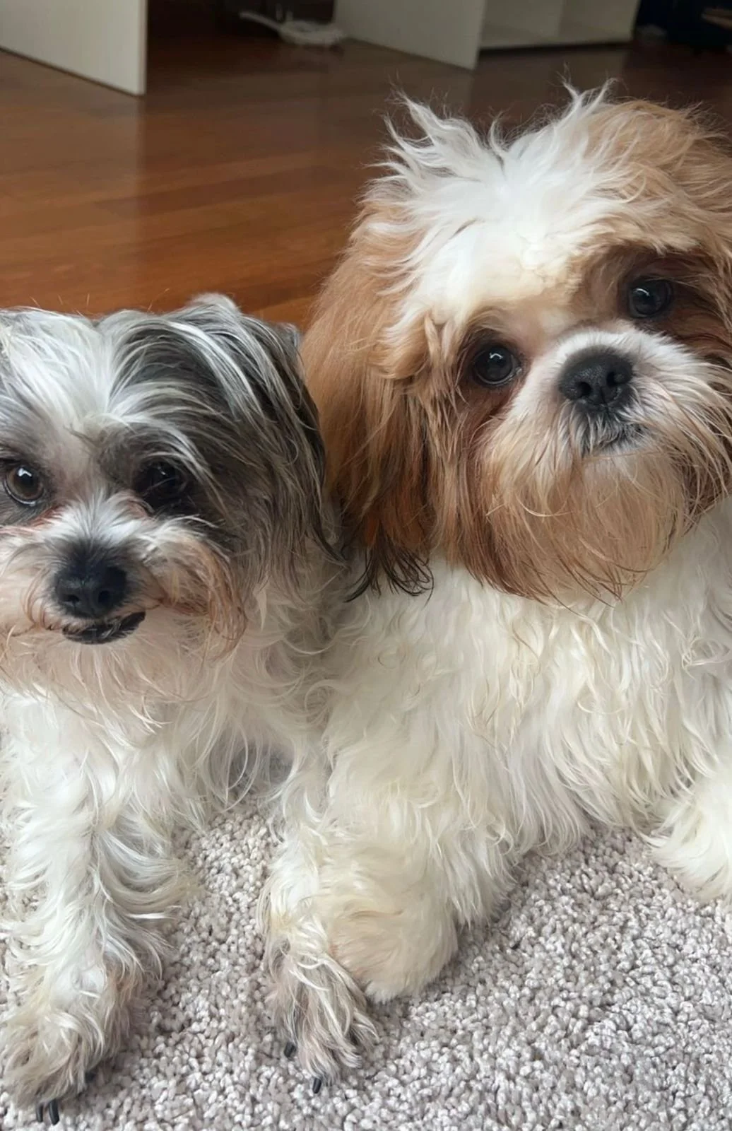 WhatsApp Image 2026-03-27 at 5.02.40 PM (1).jpeg