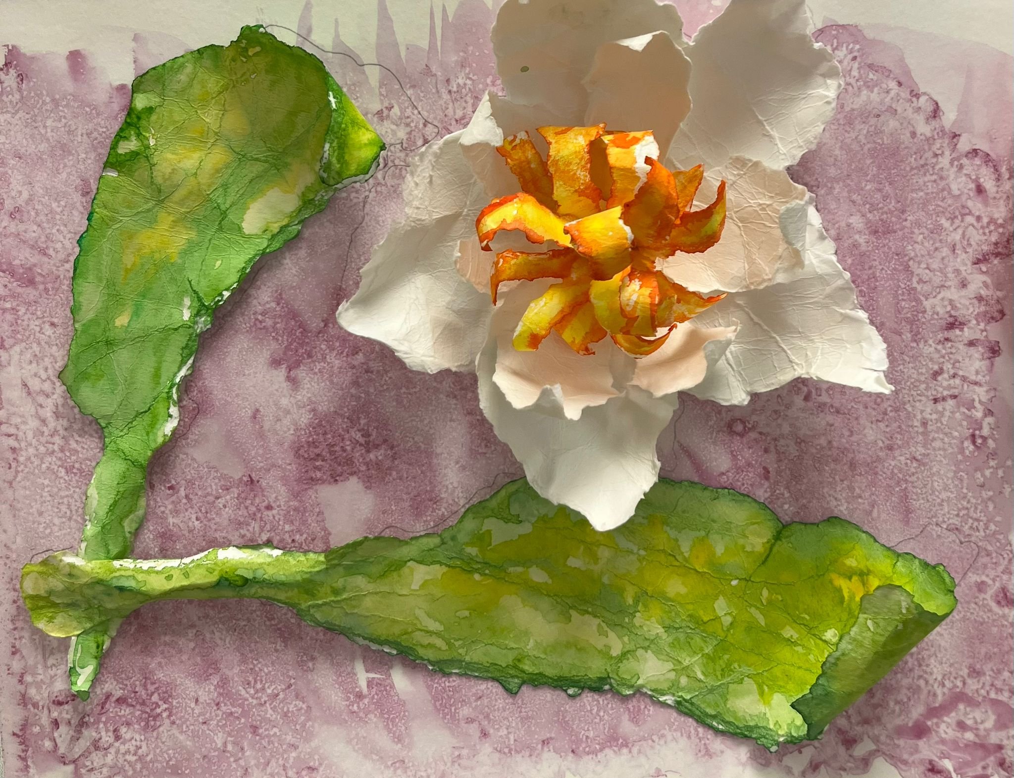 Eugenia Espinosa.jpeg