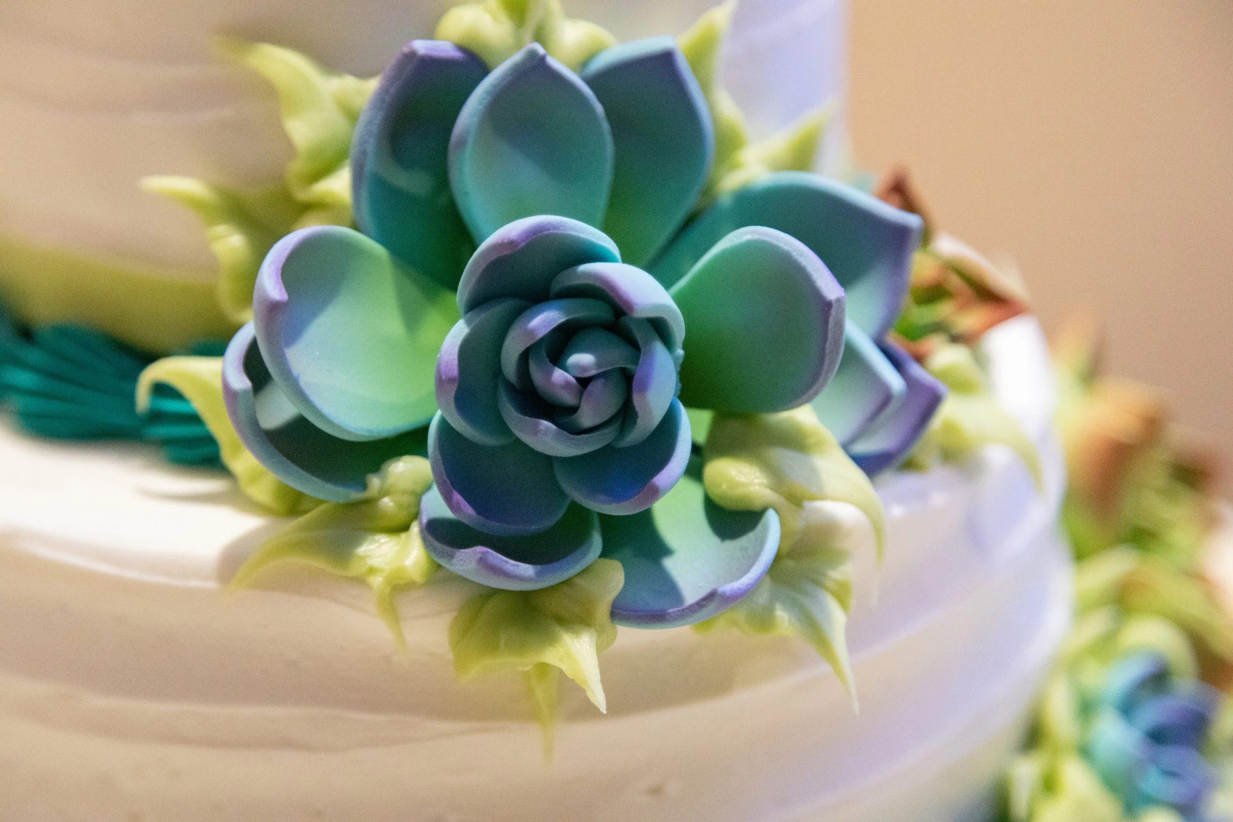 20211003-Myer Wedding-287.jpg