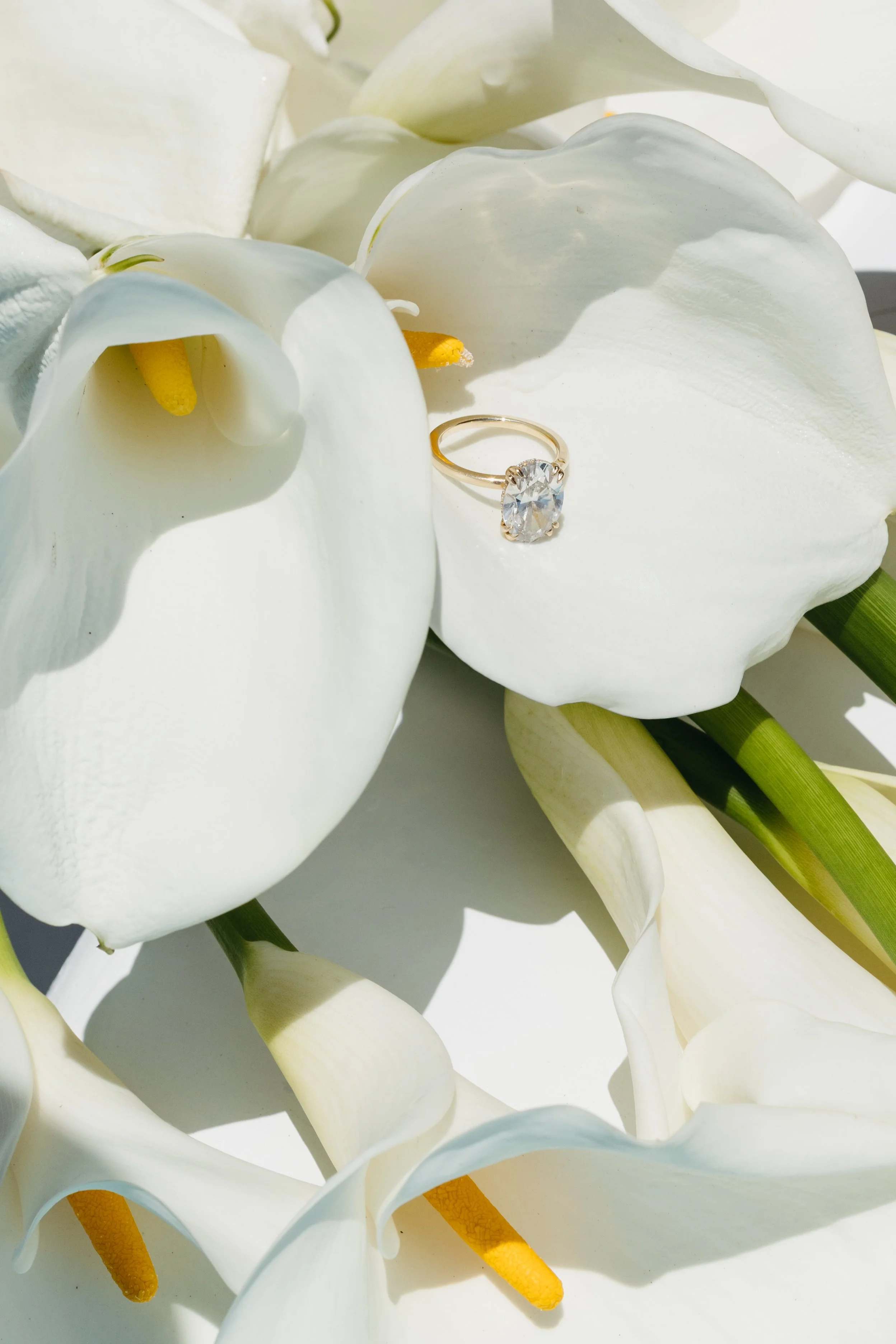 What It's Really Like to Plan a Wedding in a Natural Reserve