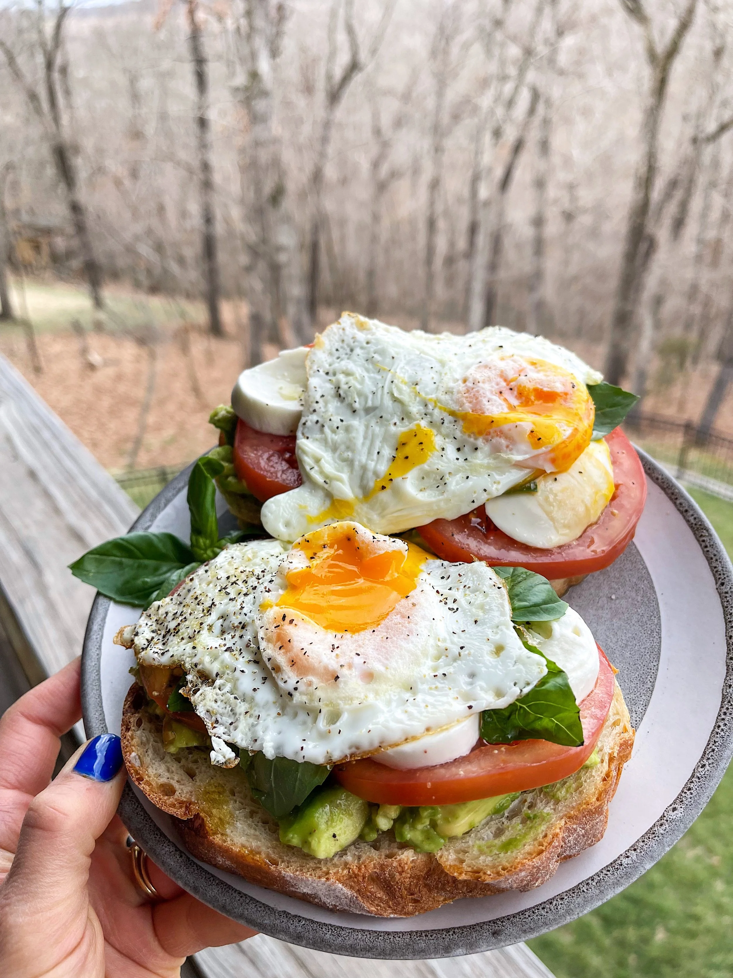 AVOCADO, TOMATO, MOZARELLA & EGG TOAST