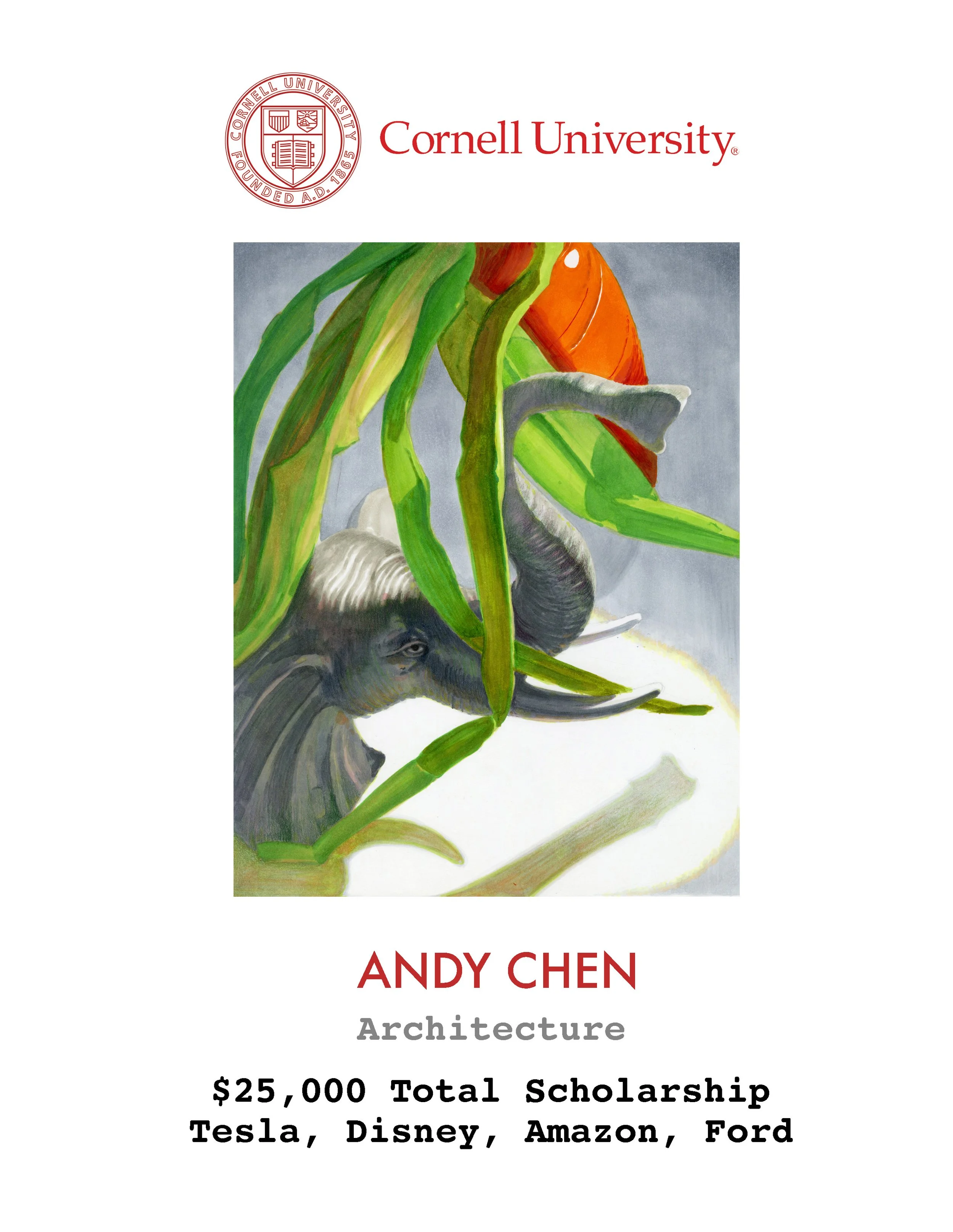 Top College Acceptance Poster Andy Chen.jpg