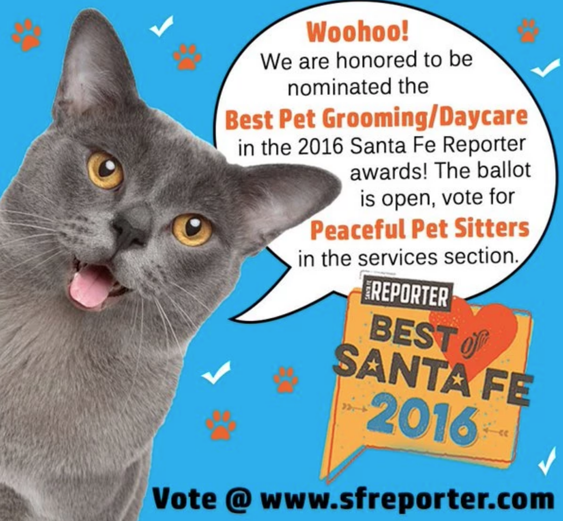 Digital Print Ad design