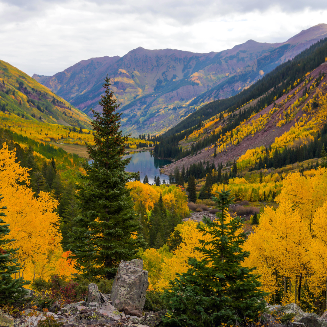 Ravenscroft Fall 2024 Newsletter-4.png