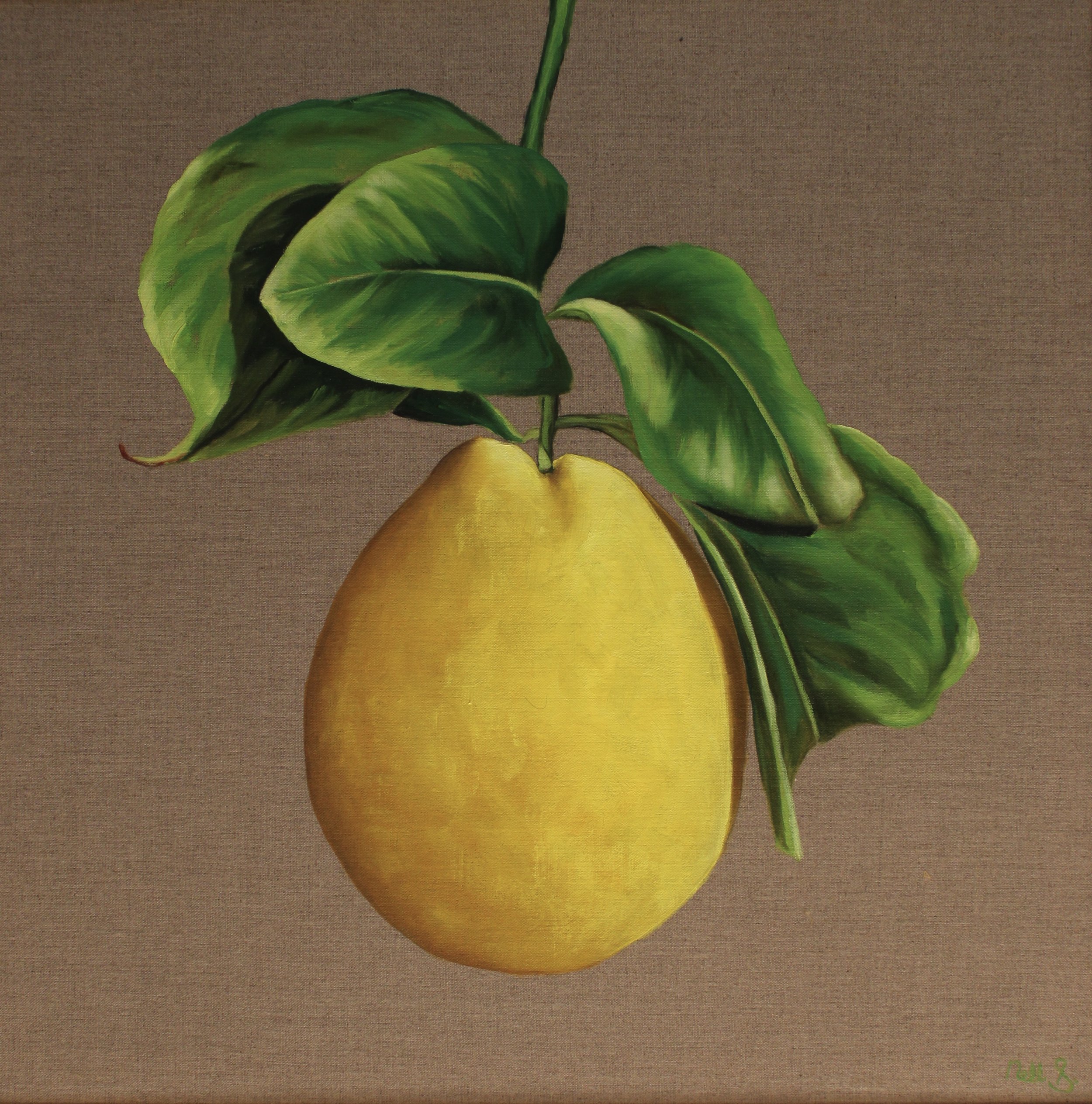 Erba - Available at The Toowoomba Gallery