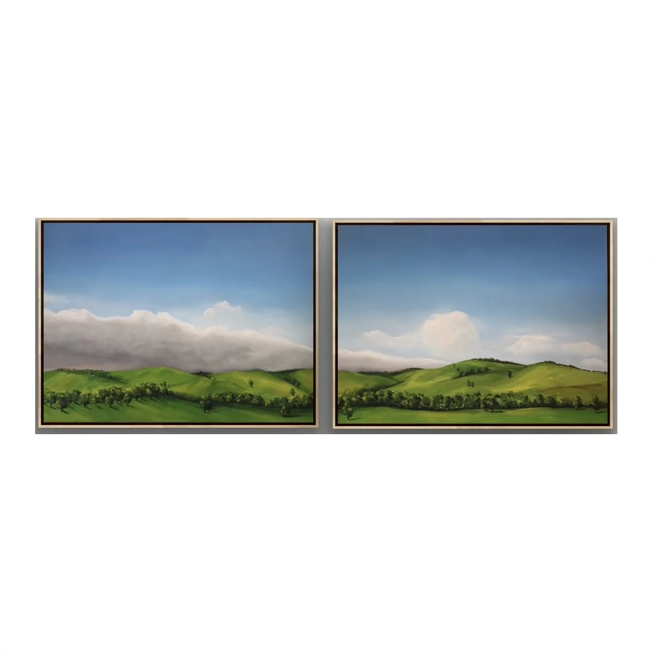 A2BD3727-8500-4200-B2EA-8EECB3123A24.jpeg (Copy)