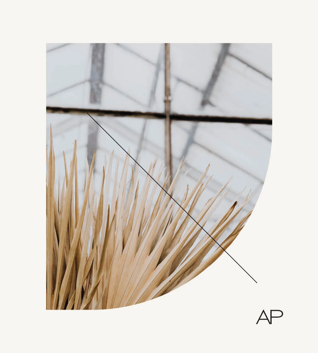 Andoly P.