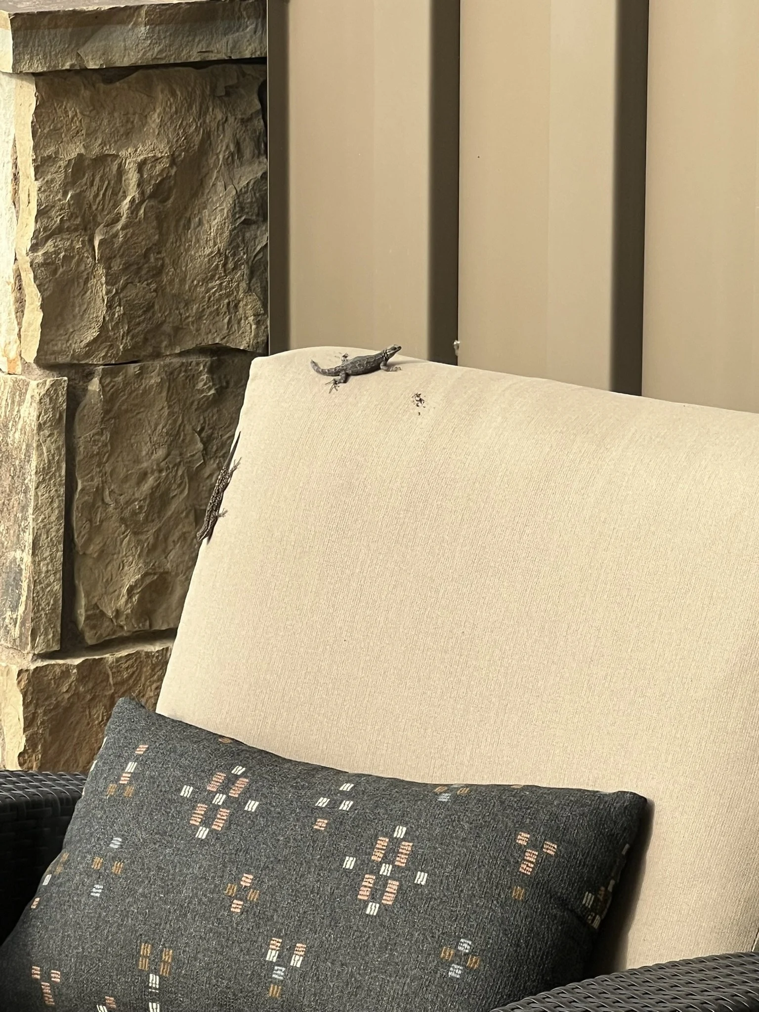 lizard pillow 2.JPEG