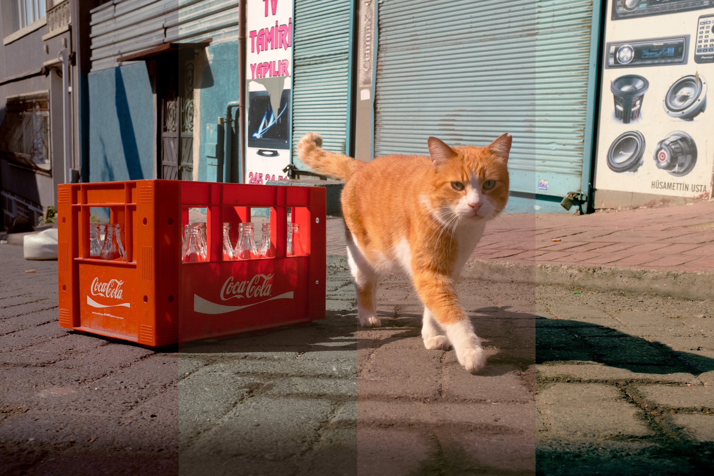 A ginger and white cat walking on a street next to a red Coca-Cola crate with empty glass bottles, in front of closed storefronts and a sign in Turkish.