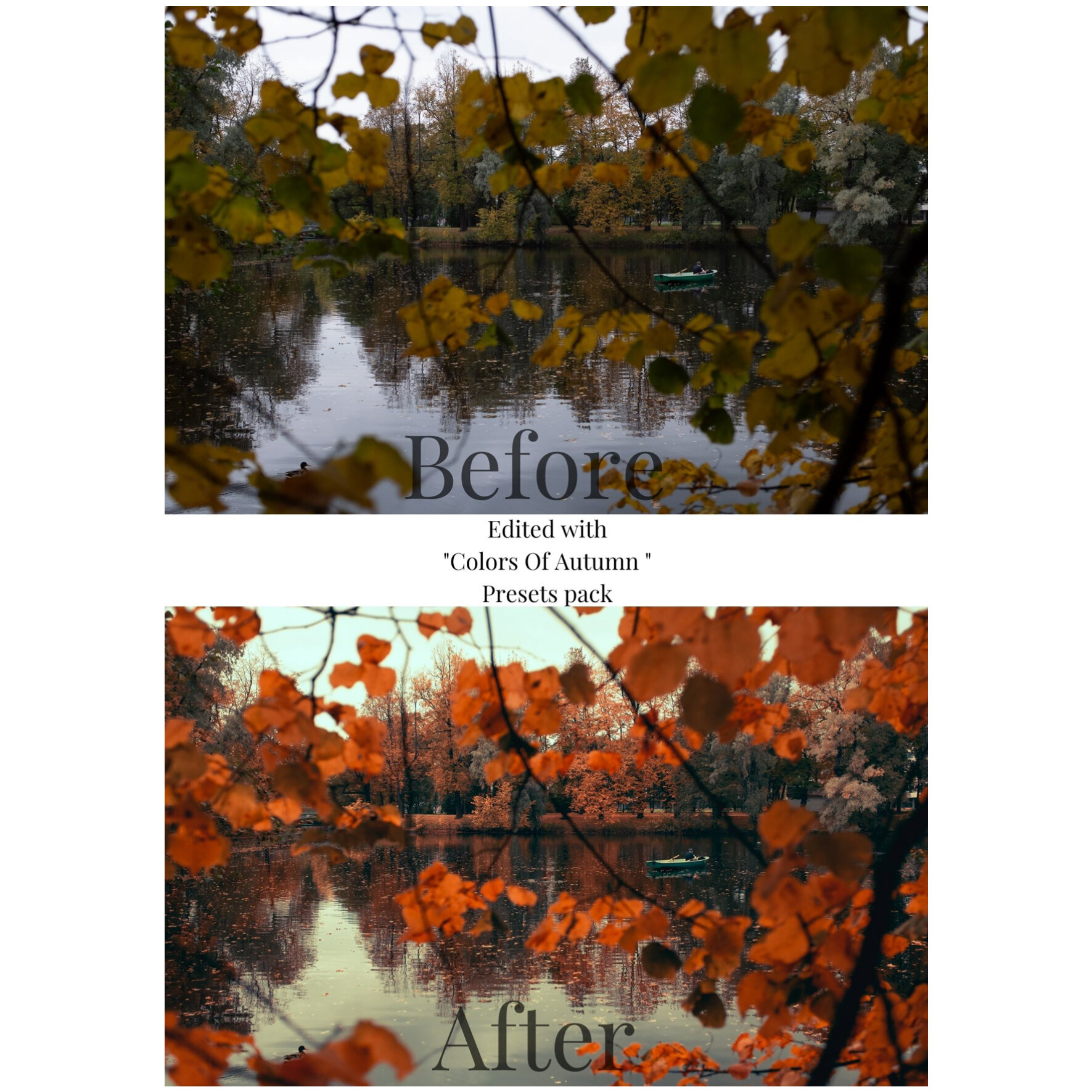 preset autumn canvas-16.jpg