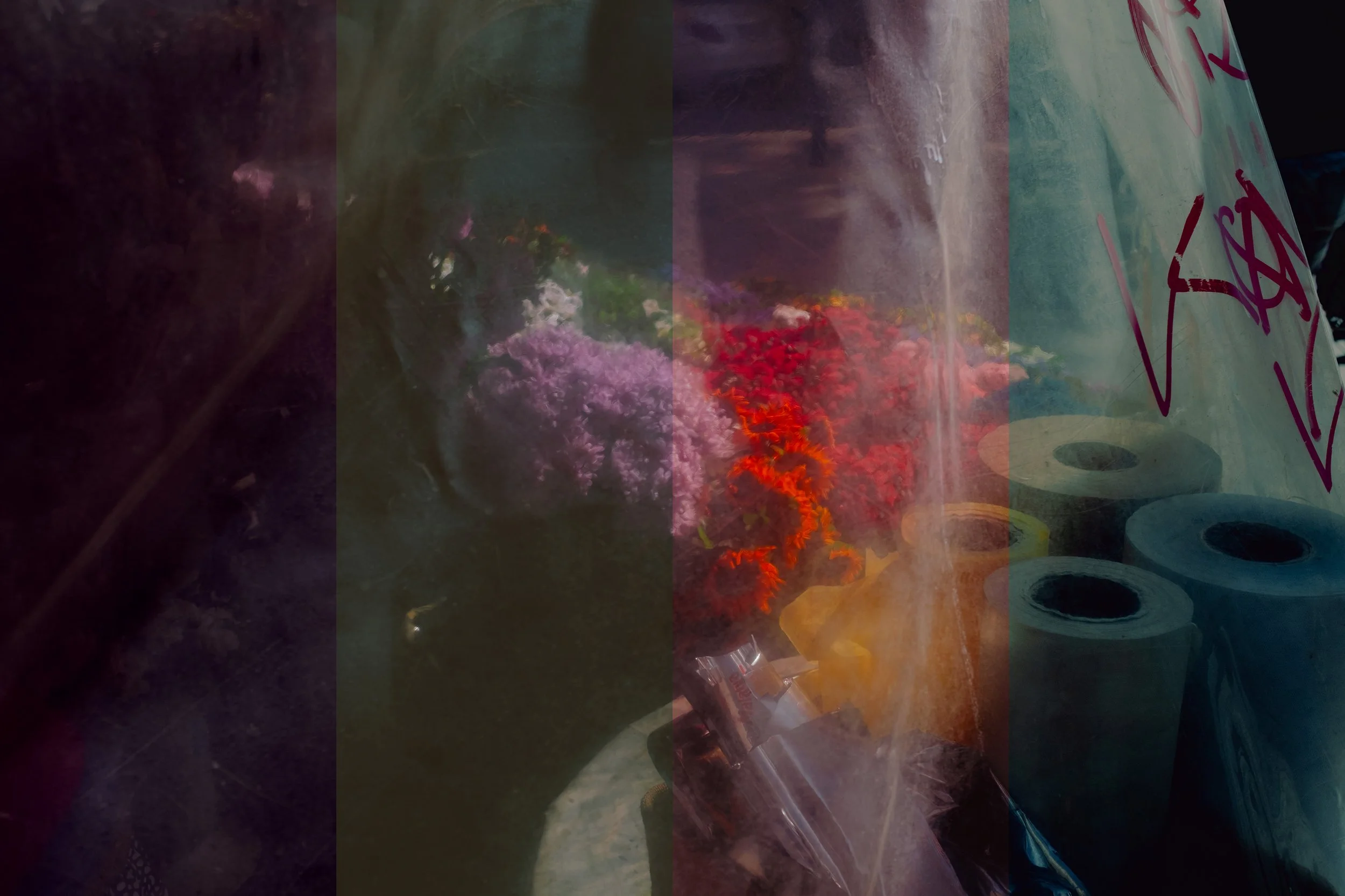 Colorful flowers behind a translucent plastic sheet with some rolls of material and graffiti in the background.