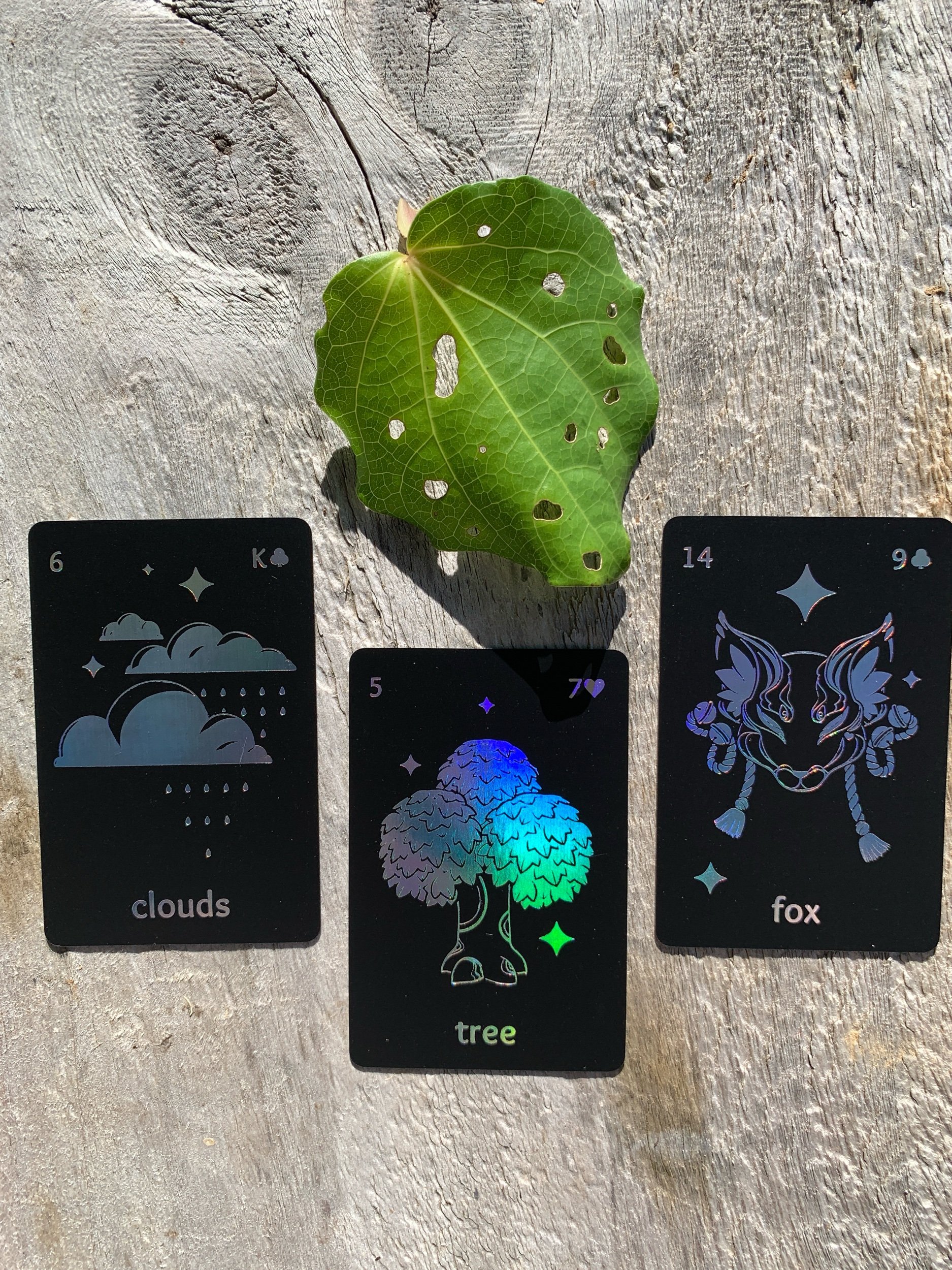 23C296AD-DF0E-4FD4-97C3-1A00C95ACF22.jpeg