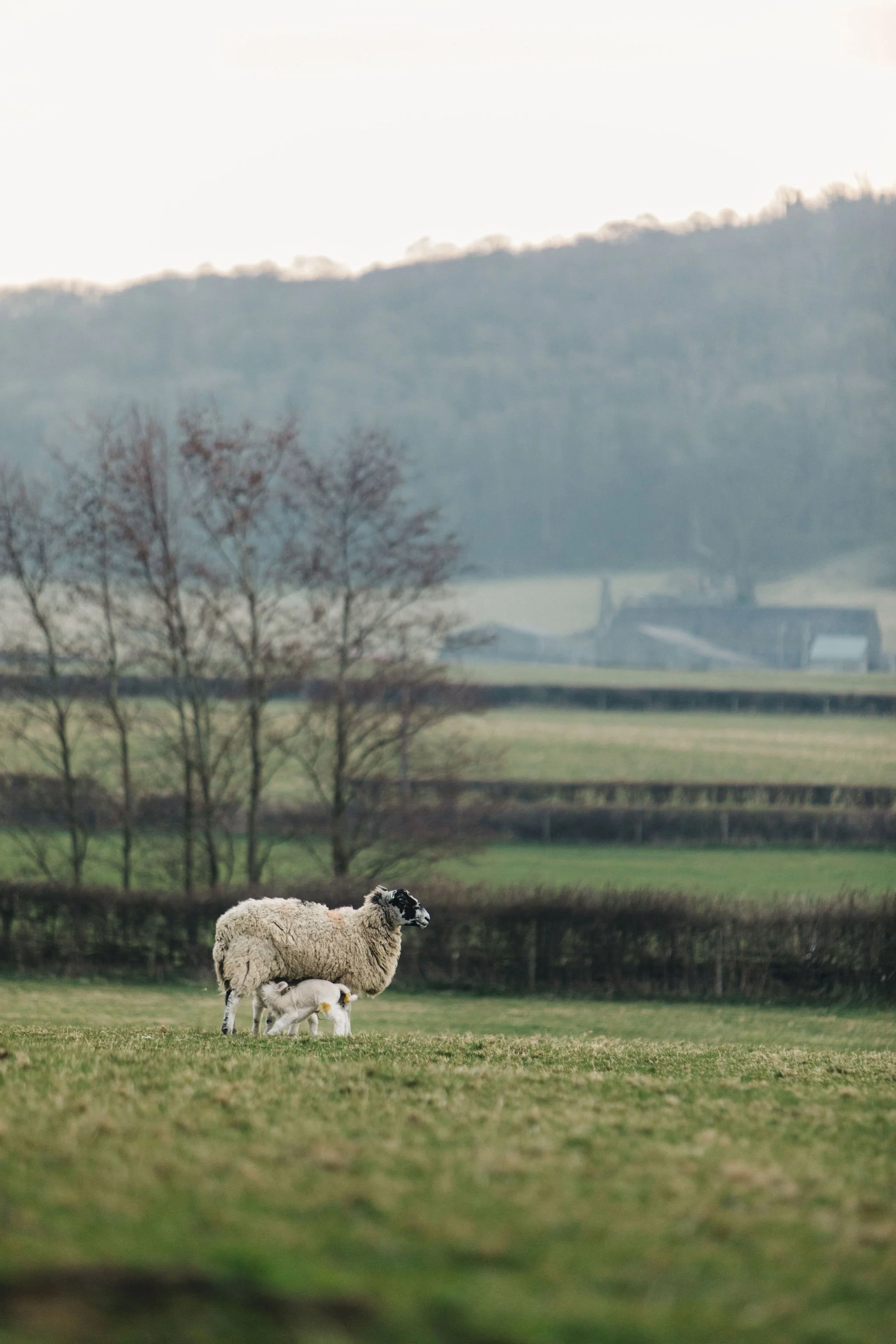 L'ENCLUME-8287-11.jpg