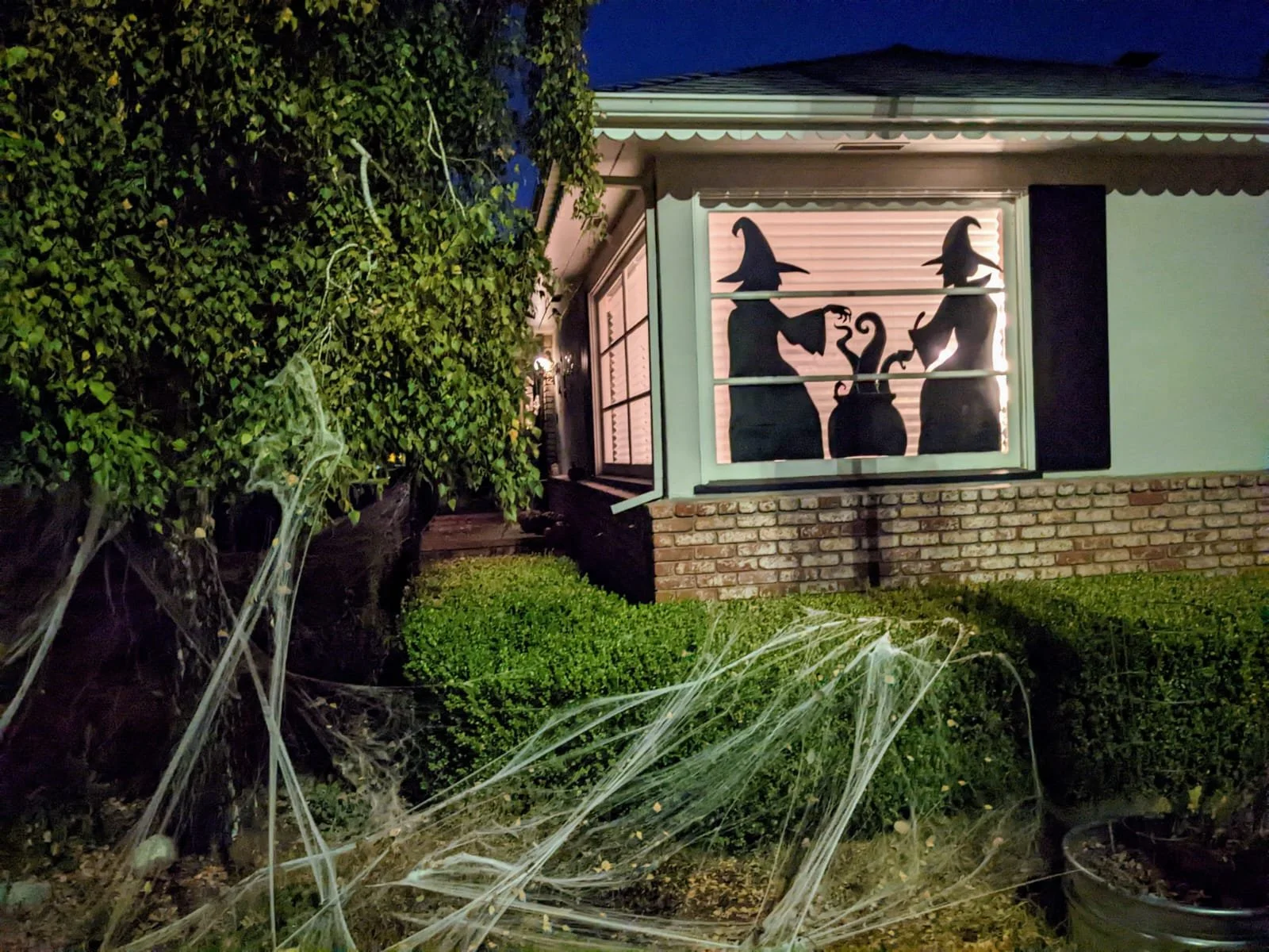 Screaming with Laughter