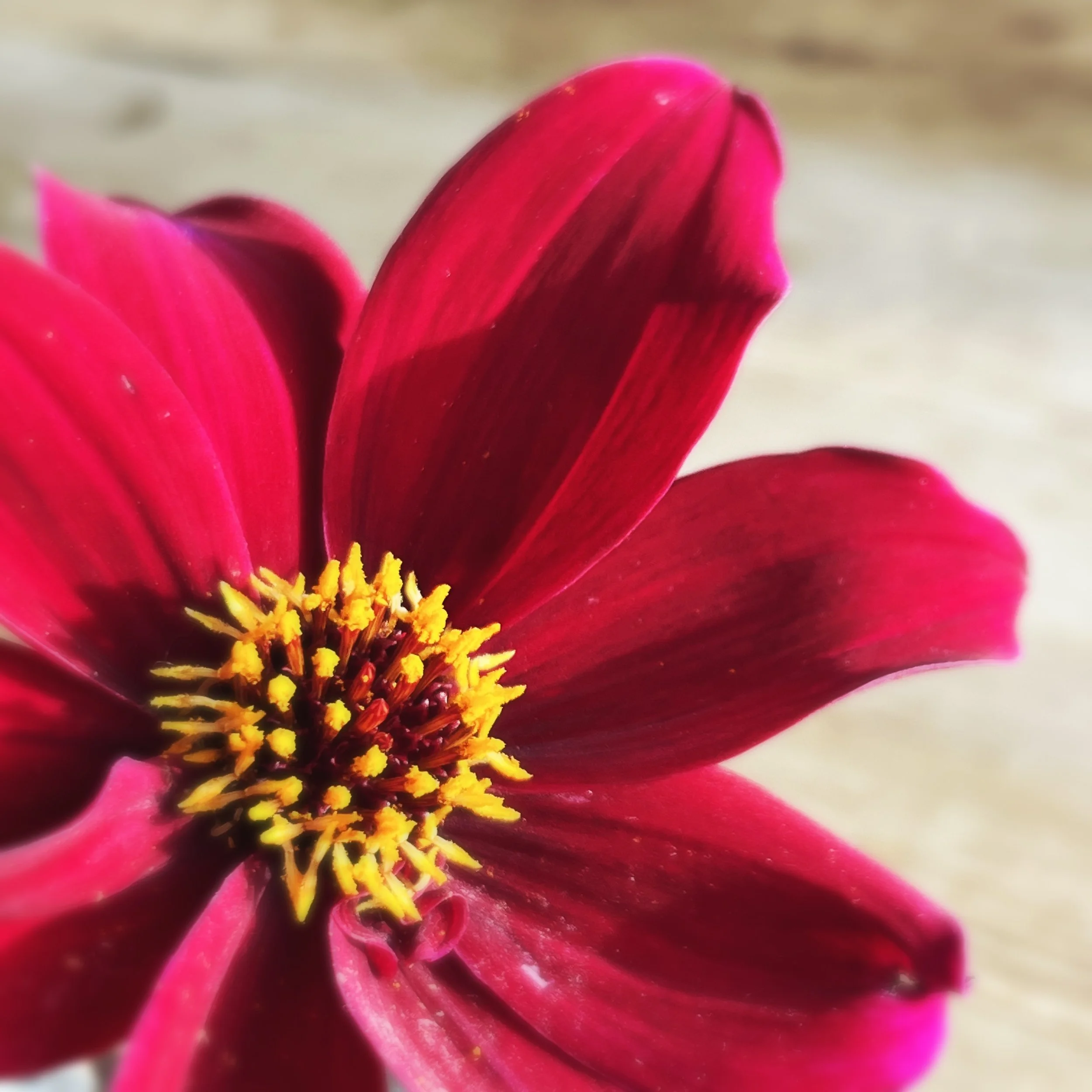Revisit events through laughter&nbsp;as a foundation for hope