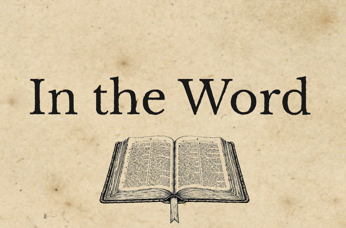 Philippians Study Guide (weeks 1-4)