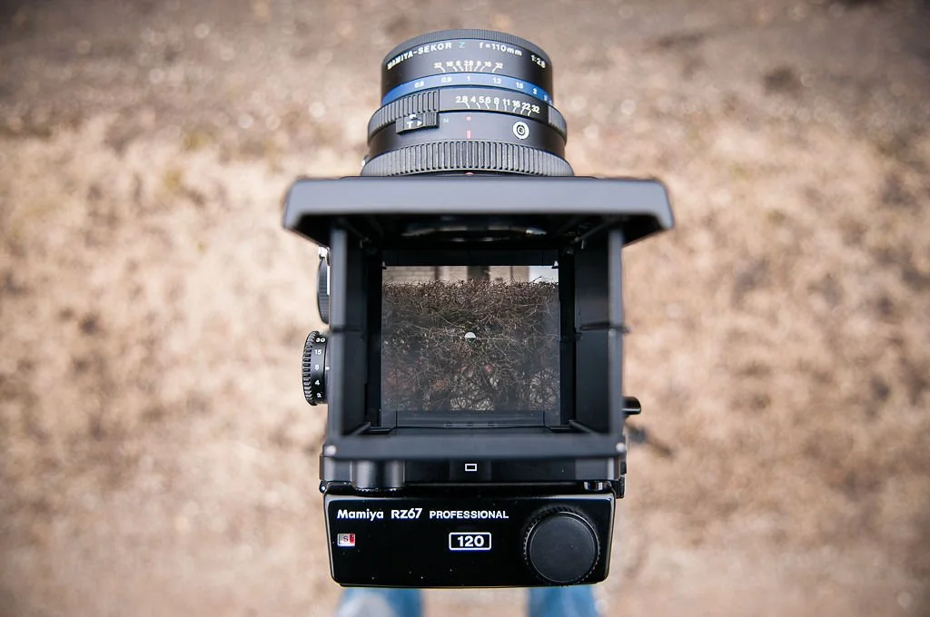 The Best Medium Format Film Camera: Why the RZ67 is so Popular — Nice Notes