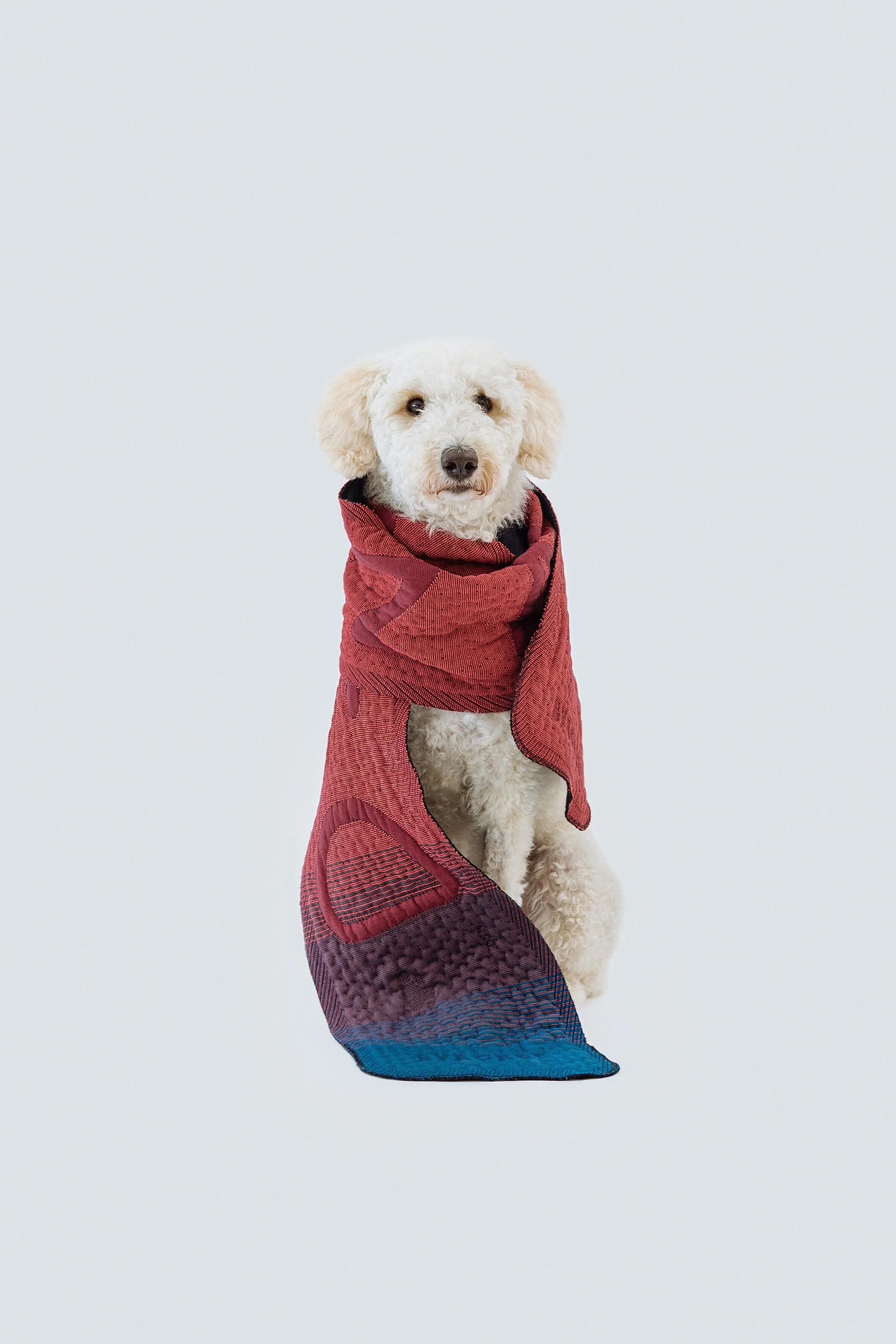 BYBORRE Knit Design. DSM GINZA ‘Launch Scarves’. 2020